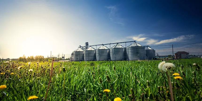 Чому важливо використовувати якісні та перевірені фунгіциди