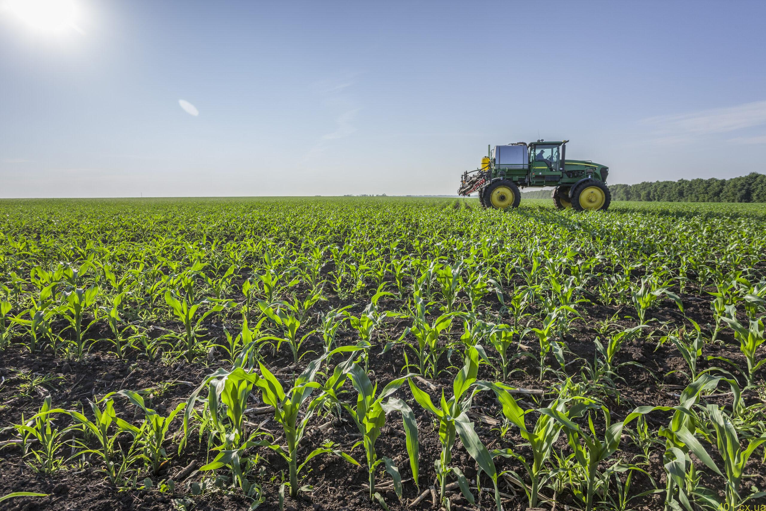 Чому важливо підібрати підходящі засоби захисту рослин